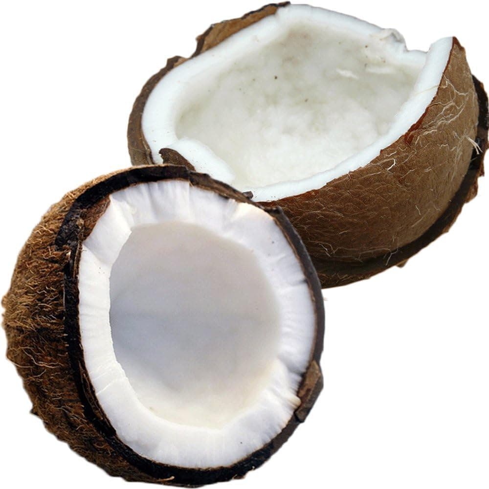 Coconut Oil 76 Degree (5 Gallon Pail)