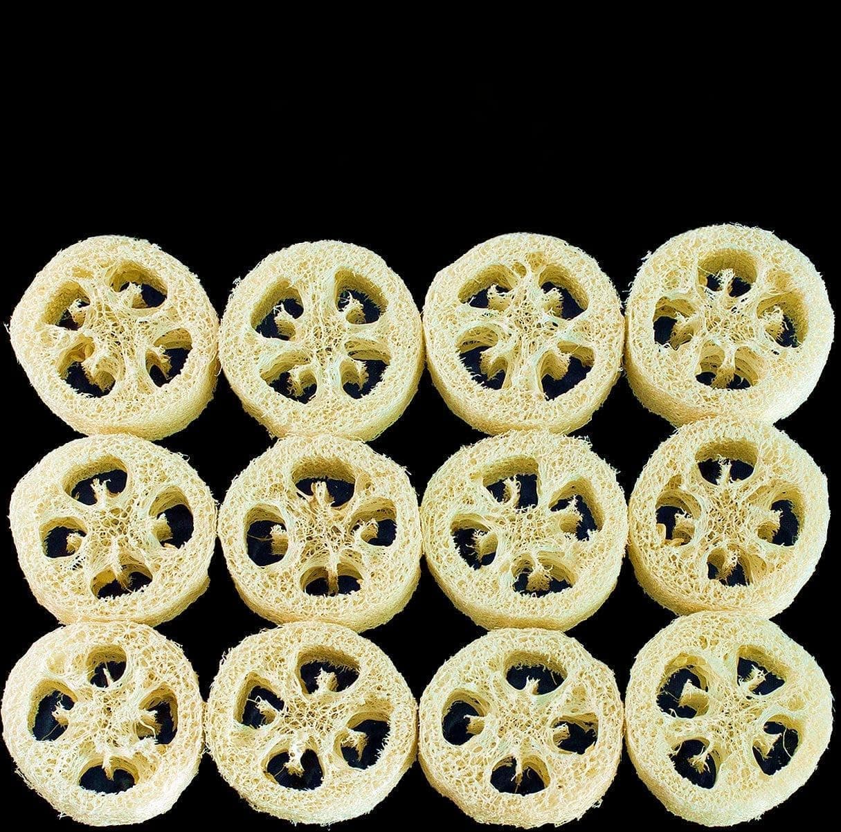 Premium Loofah Slices for Soap Making - Natural Luffa Cuts for DIY Soaping (36pk)